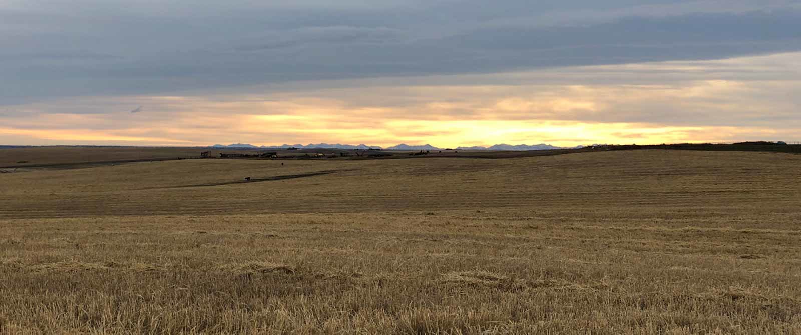 Key Ranch Airdrie view looking west